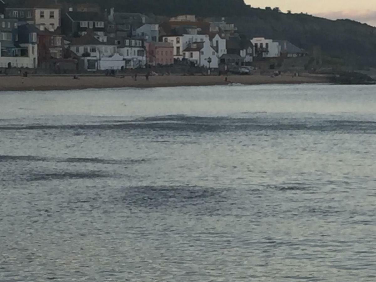 Little Monmouth 4 Bedroom Cottage, Old Town Lyme Regis, Dog Friendly And Parking Esterno foto